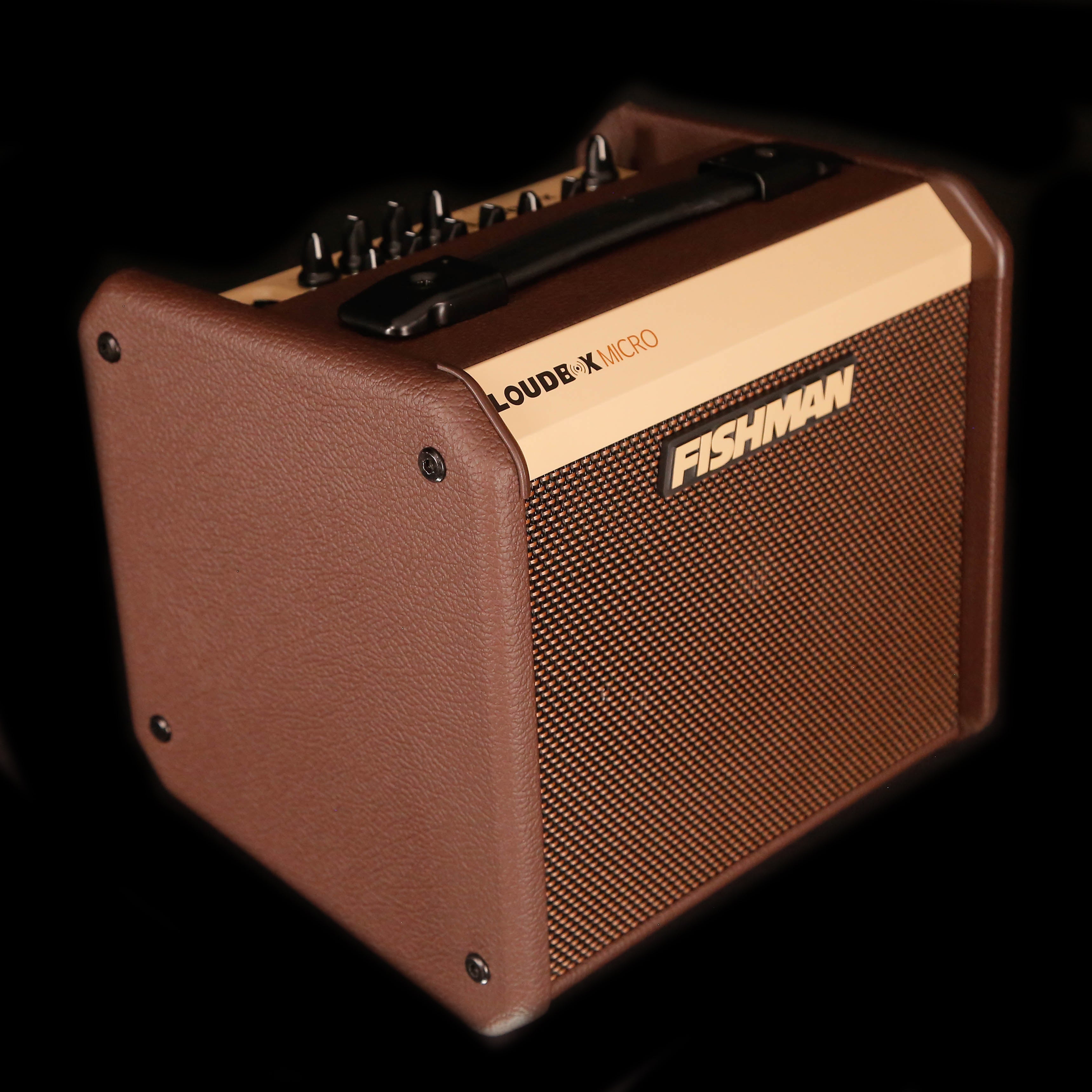 Fishman Loudbox Micro 40w Acoustic Combo Amp
