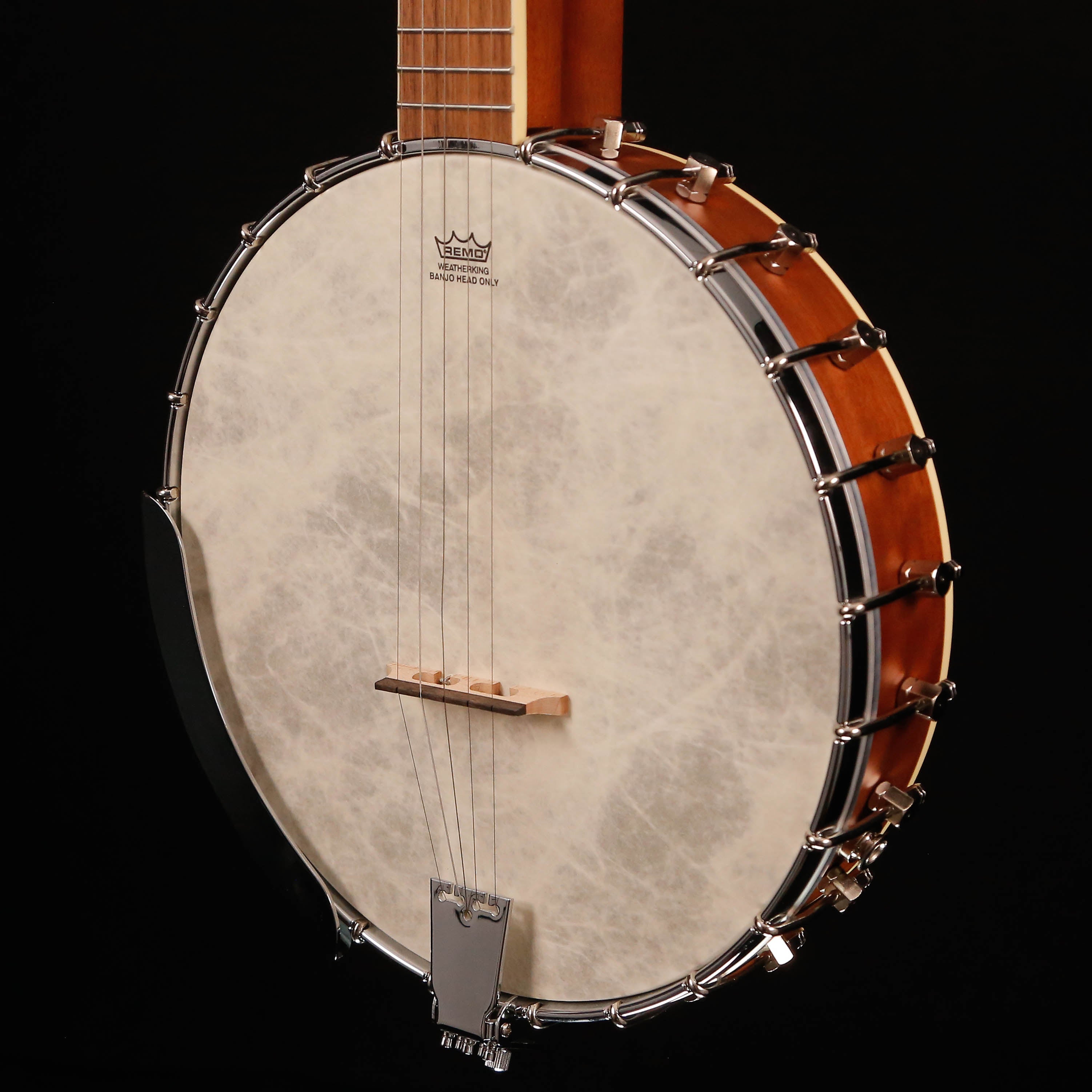 Fender PB-180E Acoustic-electric Banjo, Natural, Walnut Fb