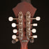 Fender PM-180E Mandolin, Walnut Fb, Aged Cognac Burst