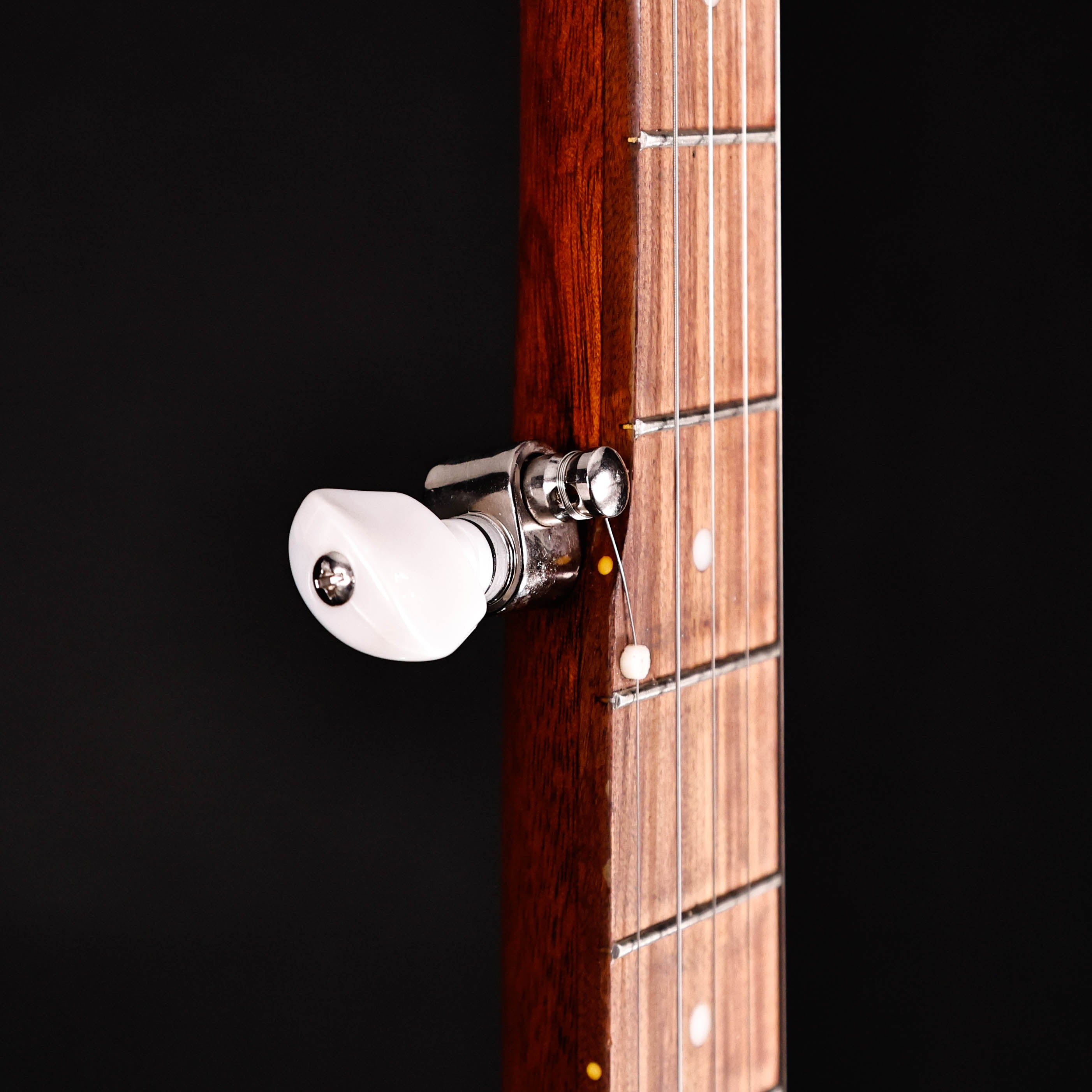 Rover RB-20 Student 5-String Openback Banjo