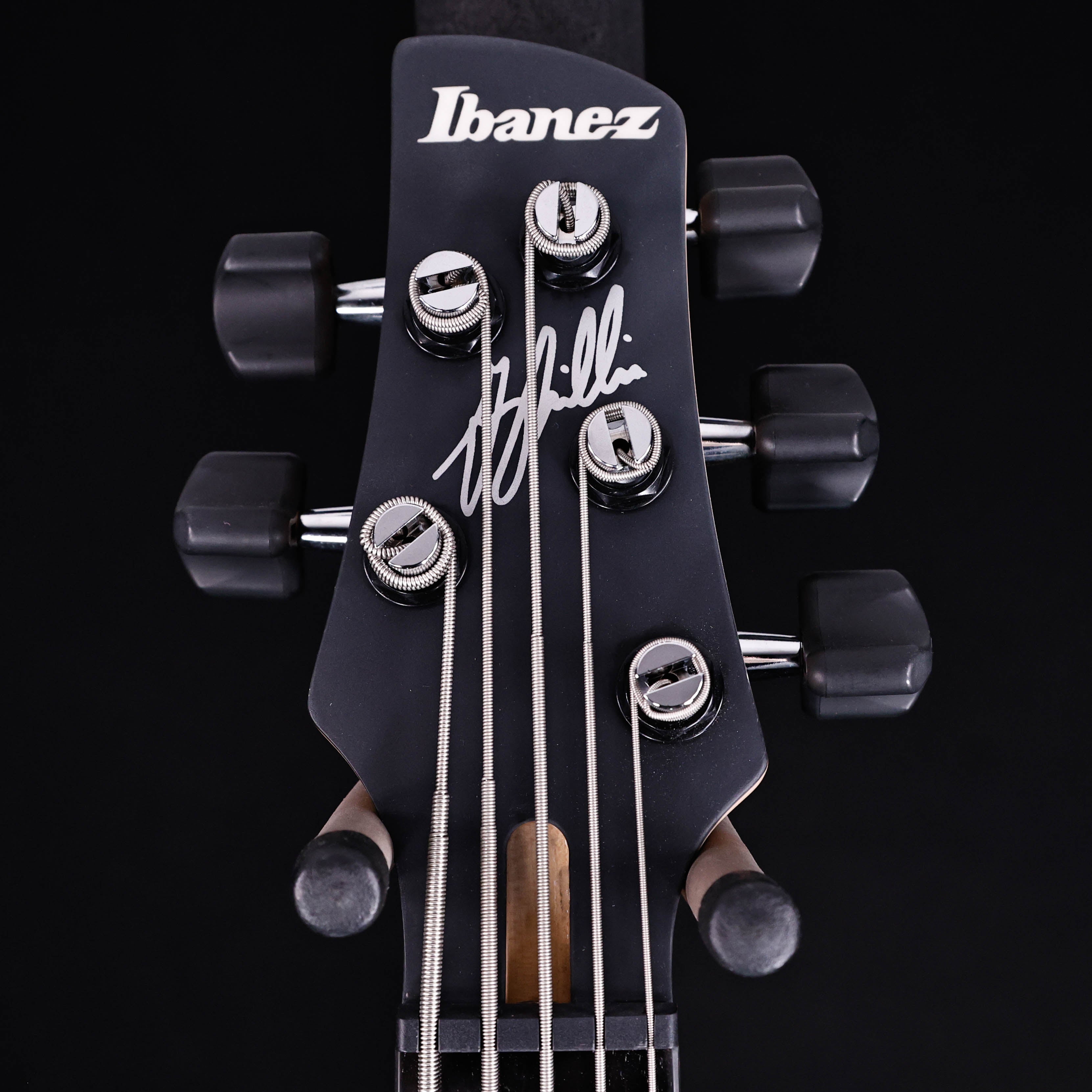 Ibanez Gary Willis 25th-Anniv Signature 5-string Fretless Bass, Silver Wave Burst 8lbs 6.2oz