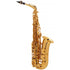 Selmer Paris 52JGP Series II Jubilee Professional Eb Alto Saxophone, Gold Plated