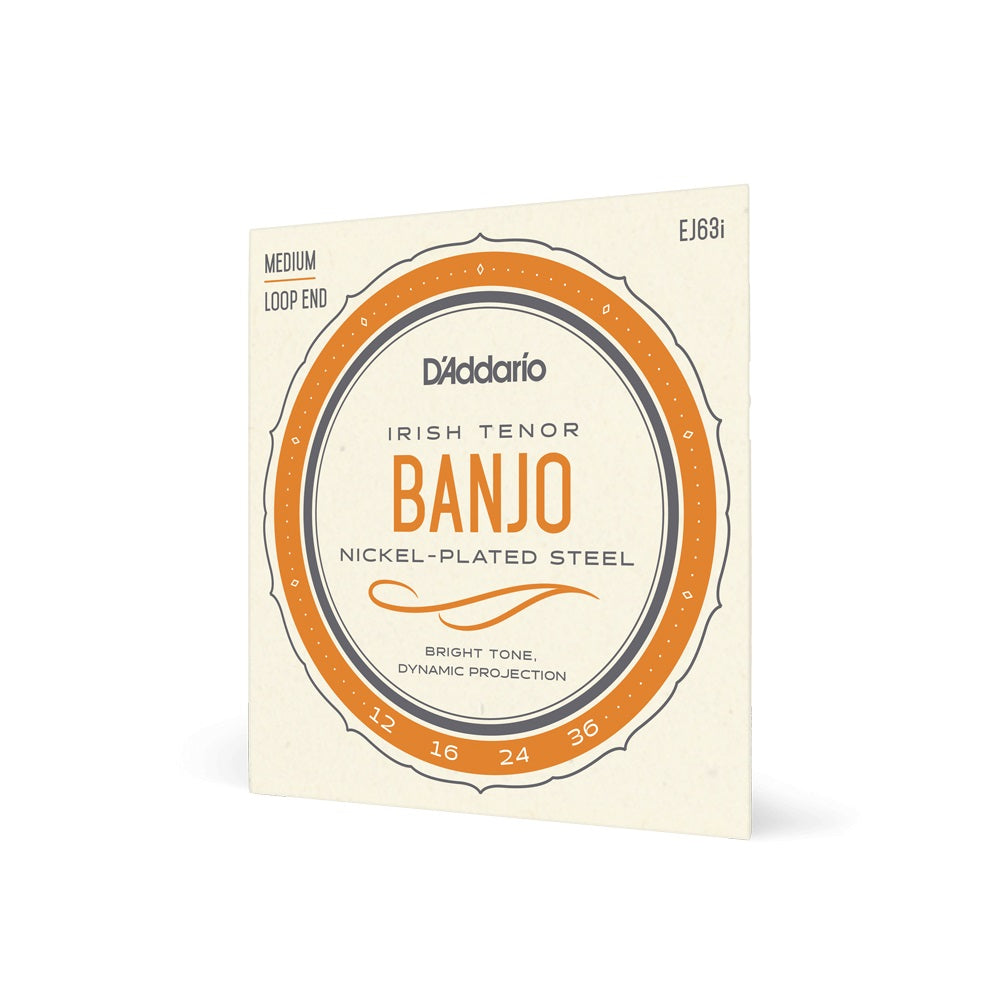 D'Addario EJ63I 4-String Irish Tenor Banjo Strings, Nickel, Medium, 12-36