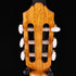 Yamaha CG172SF Nylon String Flamenco Guitar 2lbs 15.4oz