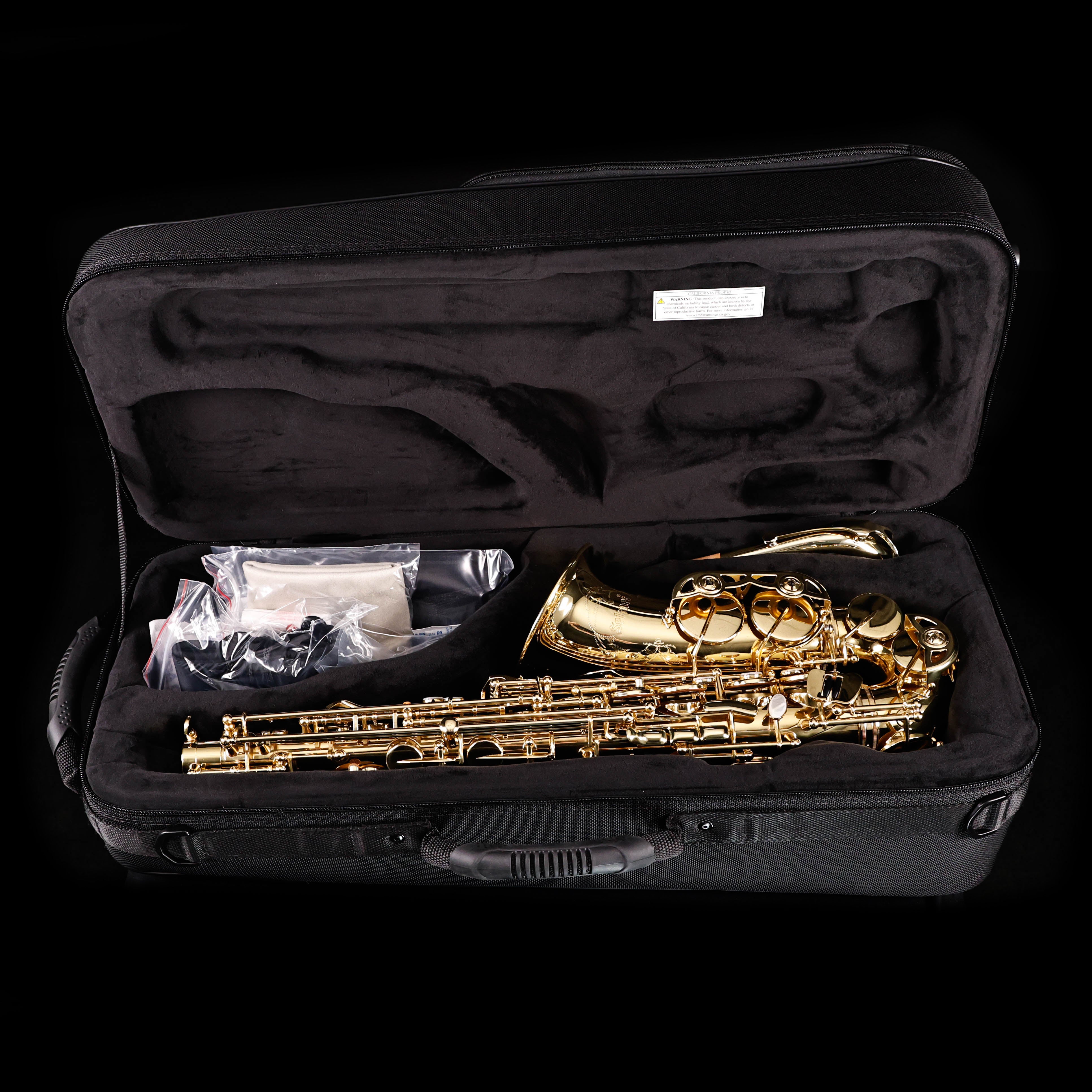 Selmer SAS711 Sas711 Alto Saxophone