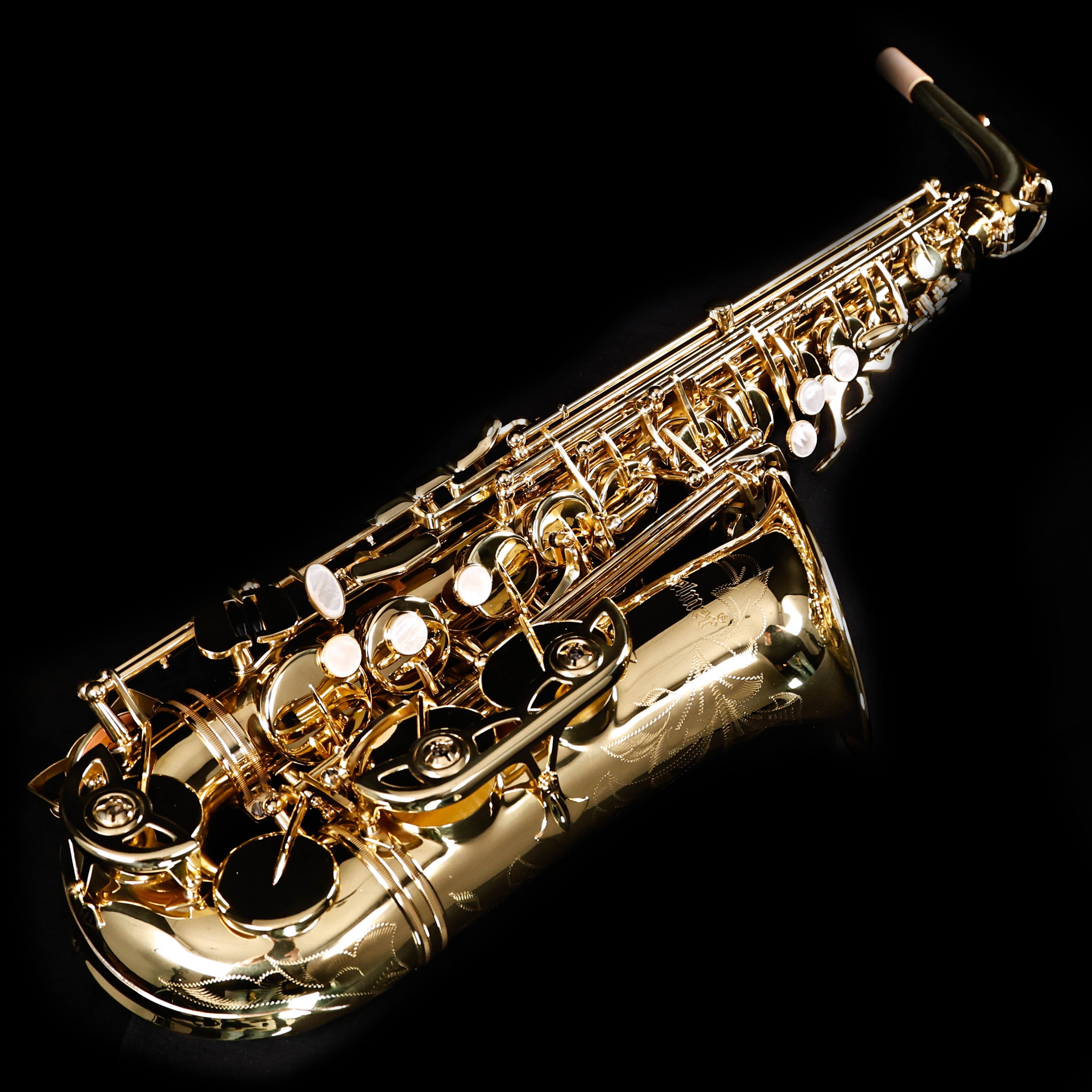 Selmer SAS711 Sas711 Alto Saxophone