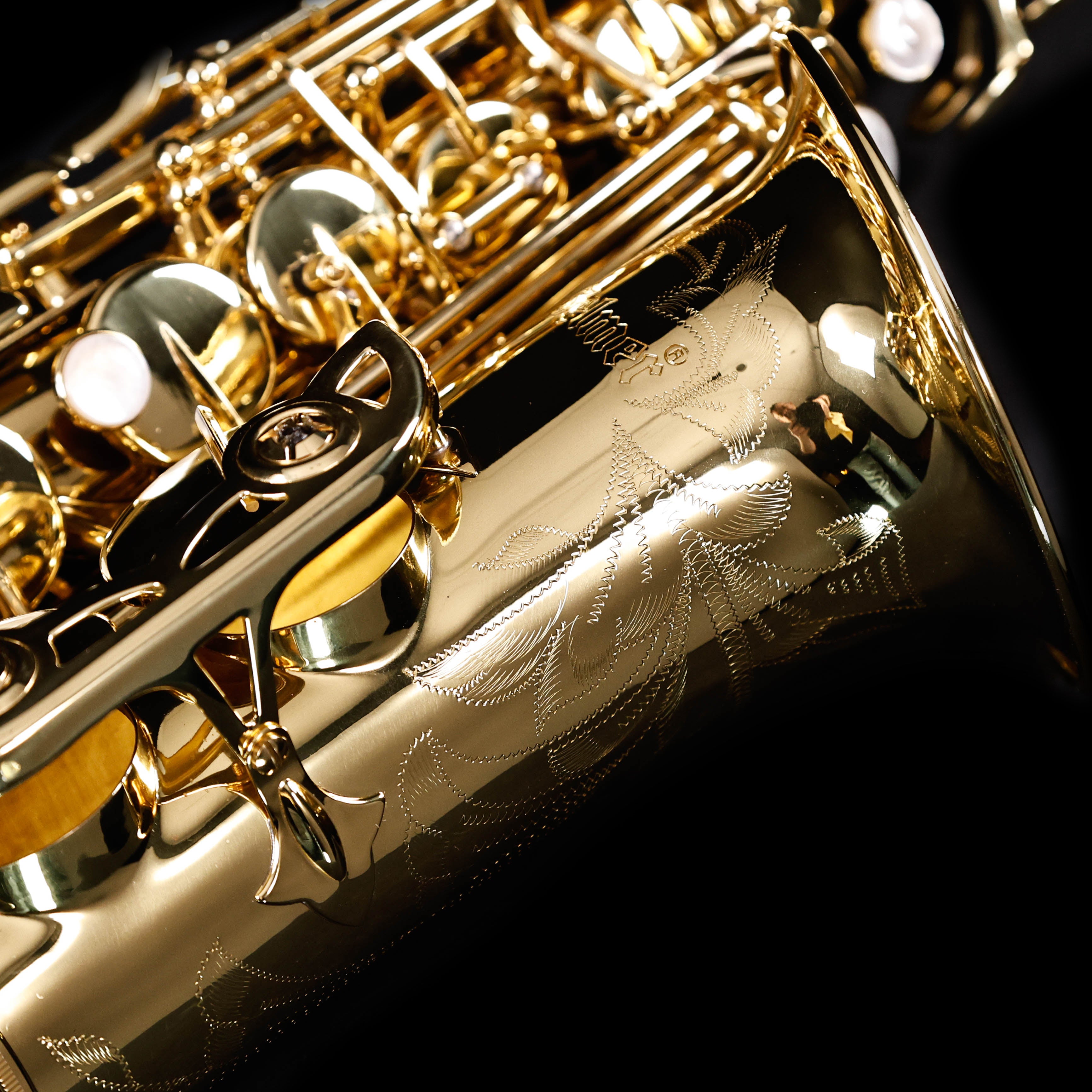 Selmer SAS711 Sas711 Alto Saxophone