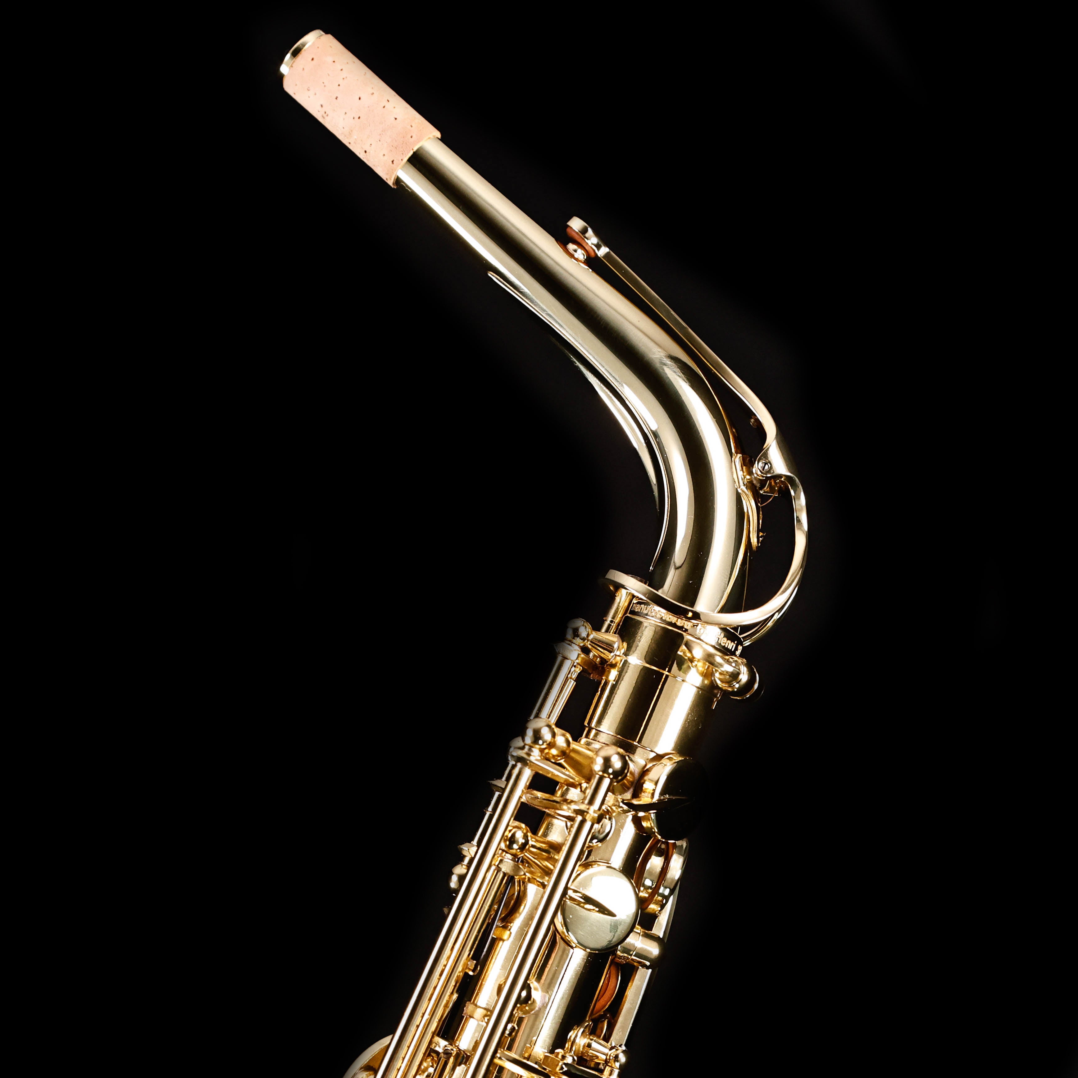 Selmer SAS711 Sas711 Alto Saxophone