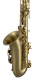 Selmer SAS711M Sas711 Alto Saxophone Matte