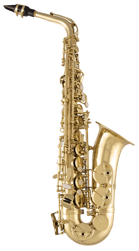 Selmer SAS711 Sas711 Alto Saxophone