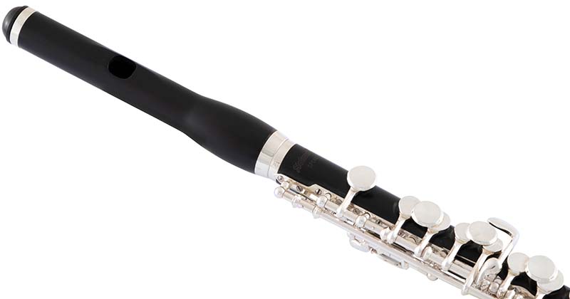 Selmer SPC711 Piccolo Grenadilla Outfit