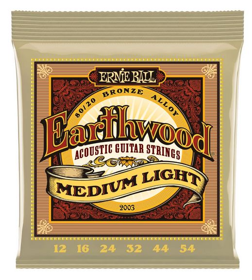 2003 Ernie Ball Earthwood Medium Light 12-54