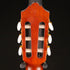 Yamaha CG162S Classical Guitar, Spruce Top