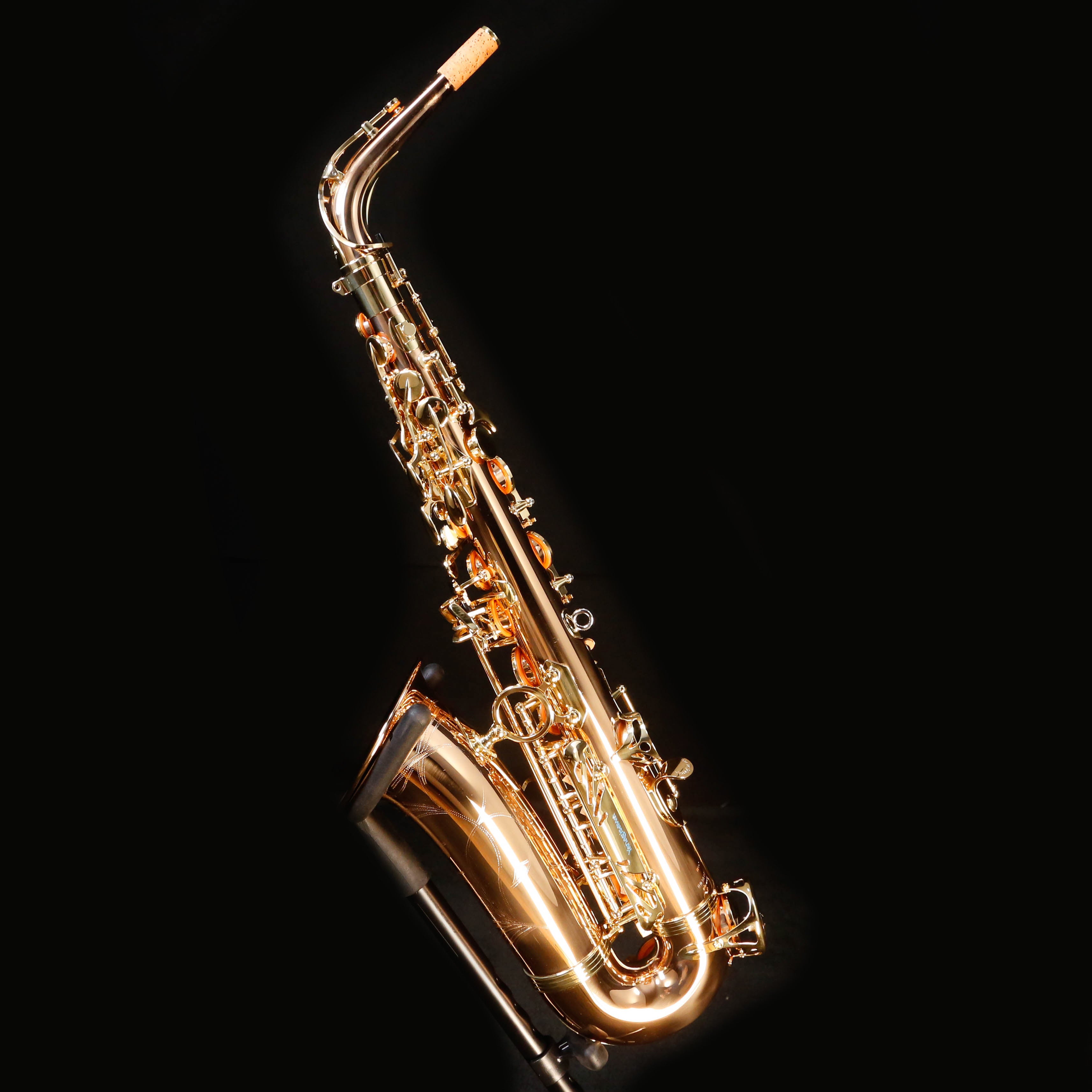 Yanagisawa AWO2 Professional Eb Alto Saxophone, All Bronze