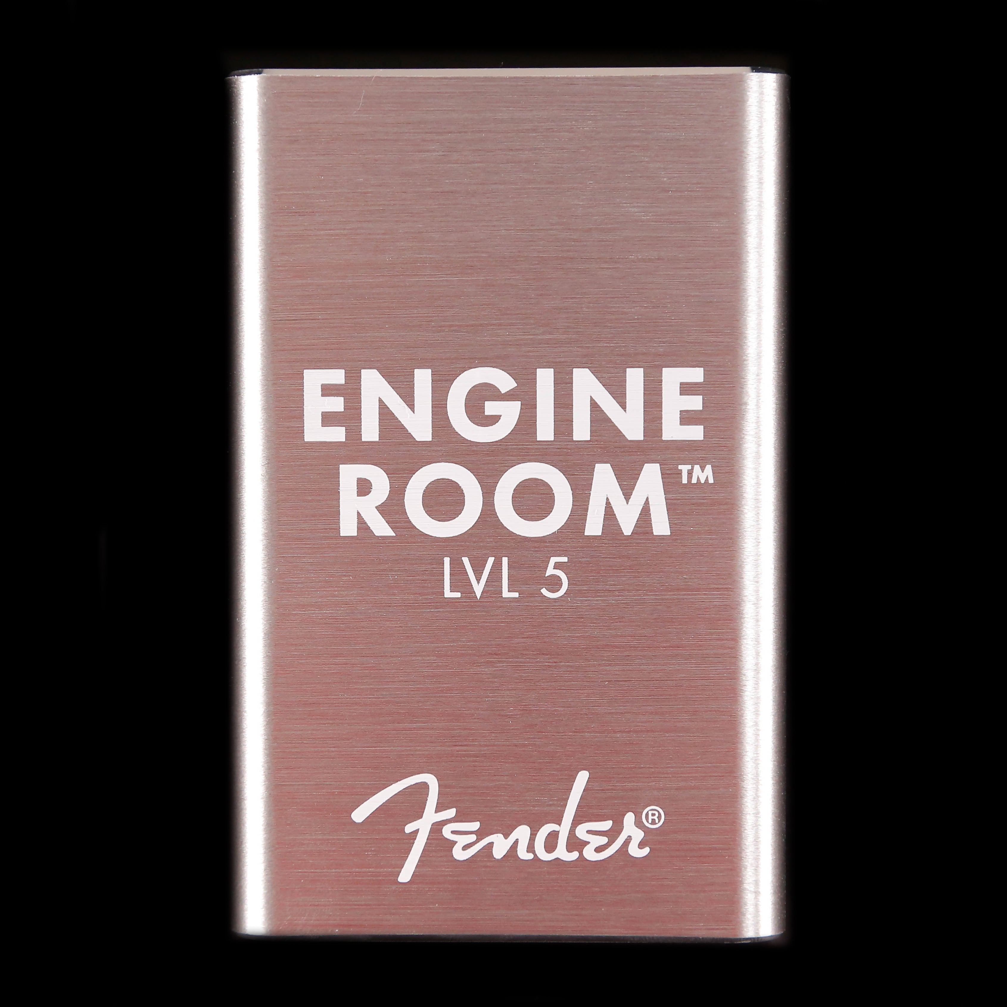 Fender LVL5 Engine Room Isolated Power Supply 120V