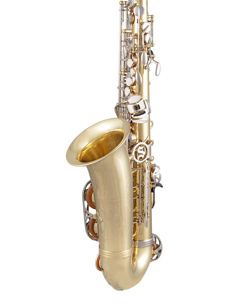 Selmer SAS301 300 Series Alto Saxophone Outfit