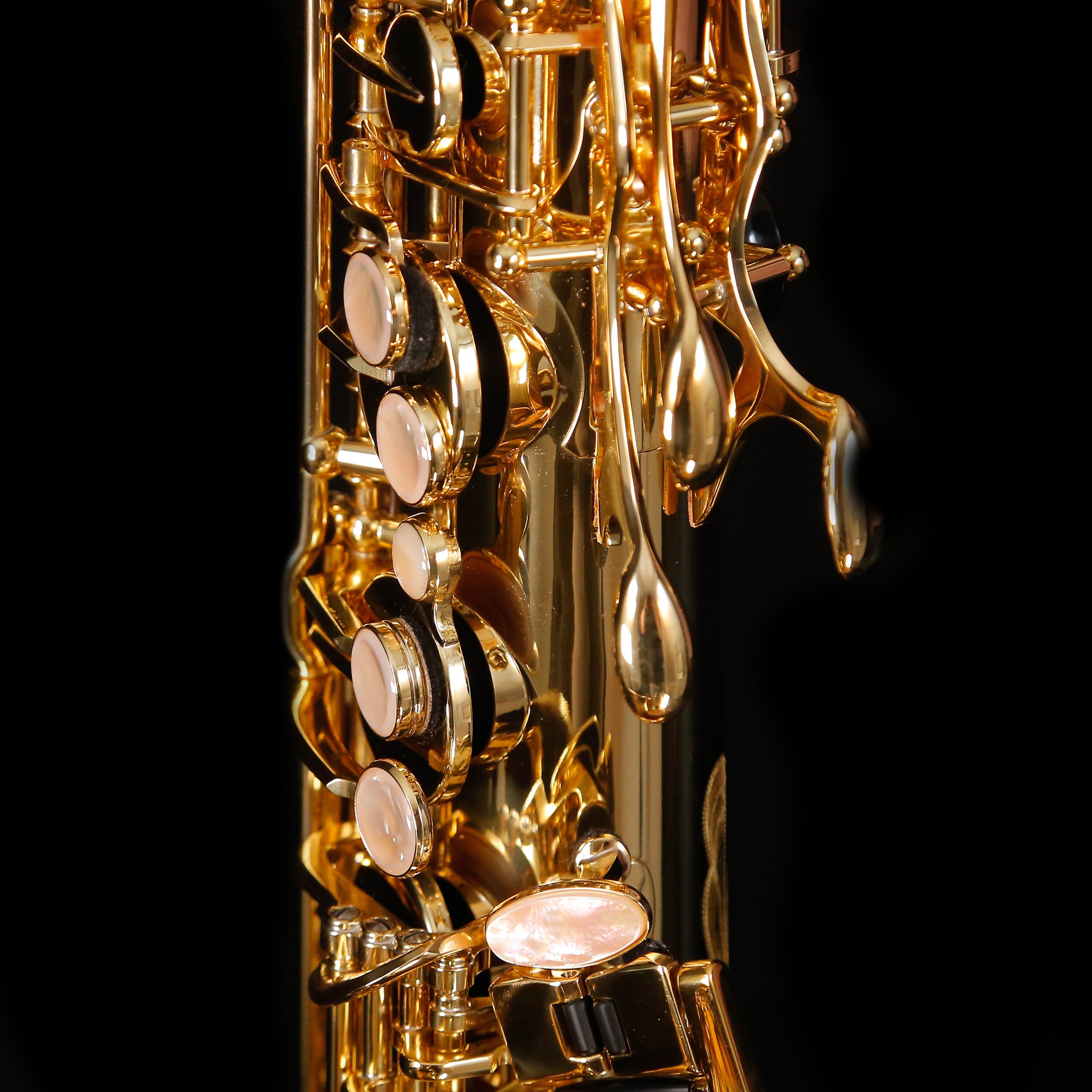 Selmer Paris 74F ''Reference 54'' Profes Bb Tenor Sax Dark Lacquer Hand Engraved