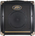 Peavey Ecoustic E20 1 X 8'' 20W Acoustic Amp