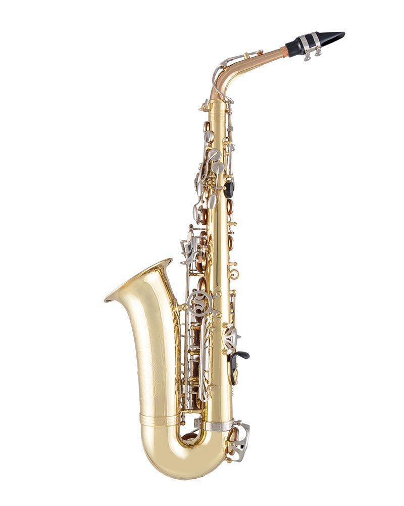 Selmer SAS301 300 Series Alto Saxophone Outfit