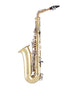 Selmer SAS301 300 Series Alto Saxophone Outfit