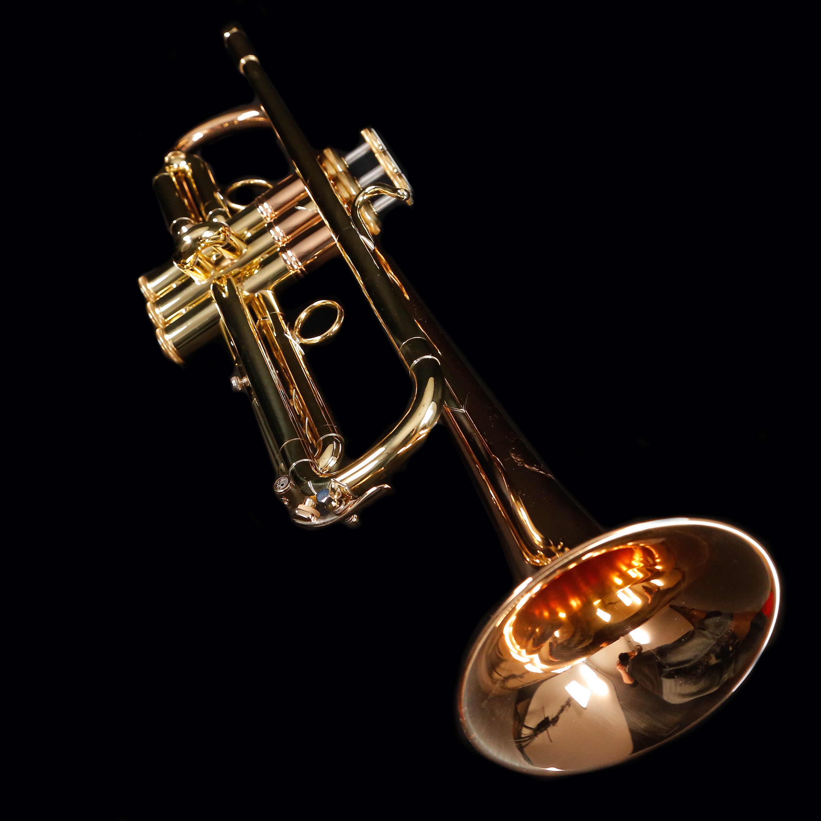 Bach LT1901B Bb Trumpet - Professional, Ml .459'' Bore , Lacquer Finish