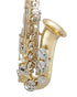 Selmer SAS201 200 Series Alto Saxophone Outfit