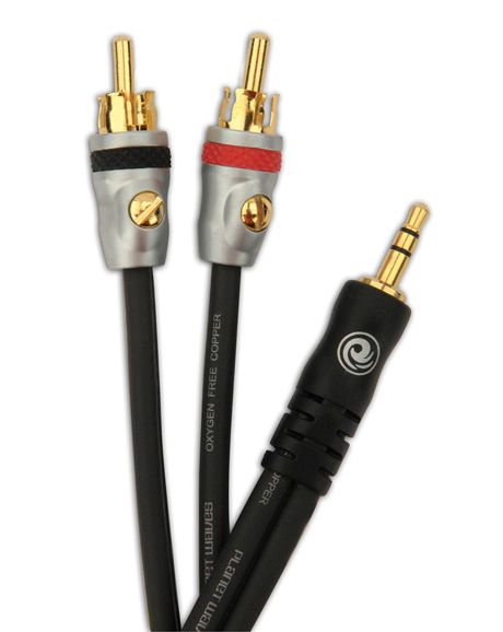 Planet Waves Dual RCA to Stereo Mini Cable, 5 feet