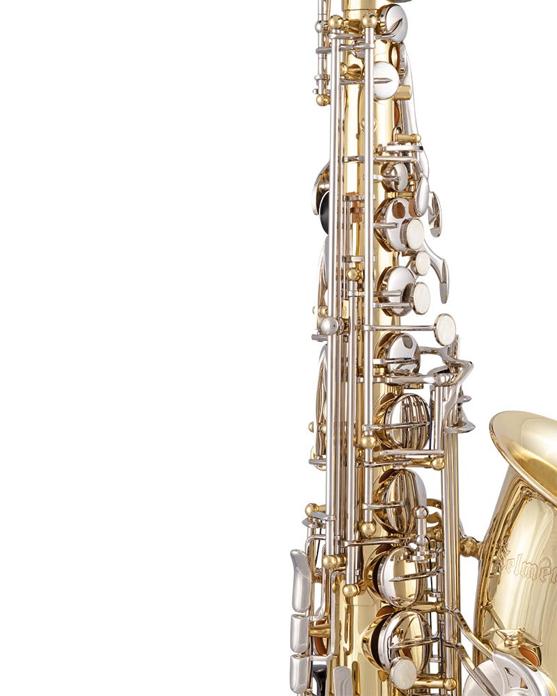 Selmer SAS301 300 Series Alto Saxophone Outfit