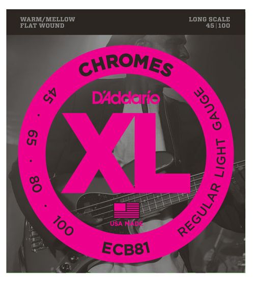 D'Addario ECB81 Chromes Bass Guitar Strings, Light, 45-100, Long Scale