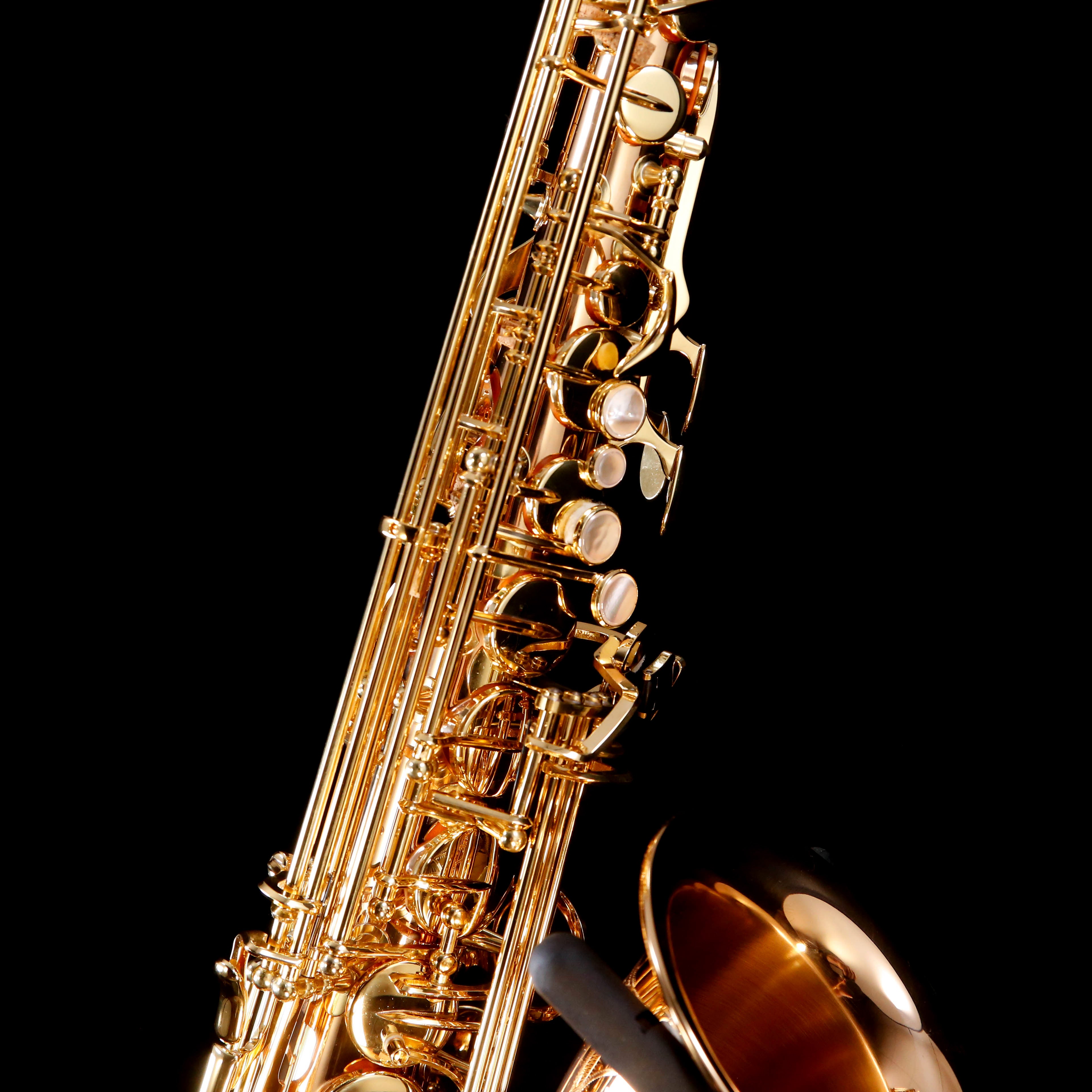 Yanagisawa AWO2 Professional Eb Alto Saxophone, All Bronze