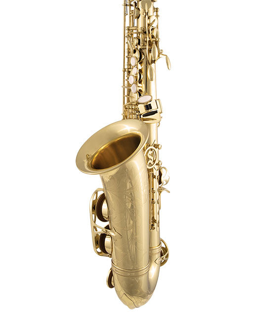 Selmer SAS711 Sas711 Alto Saxophone