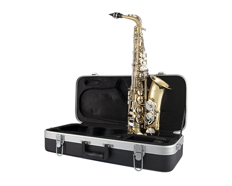 Selmer SAS201 200 Series Alto Saxophone Outfit