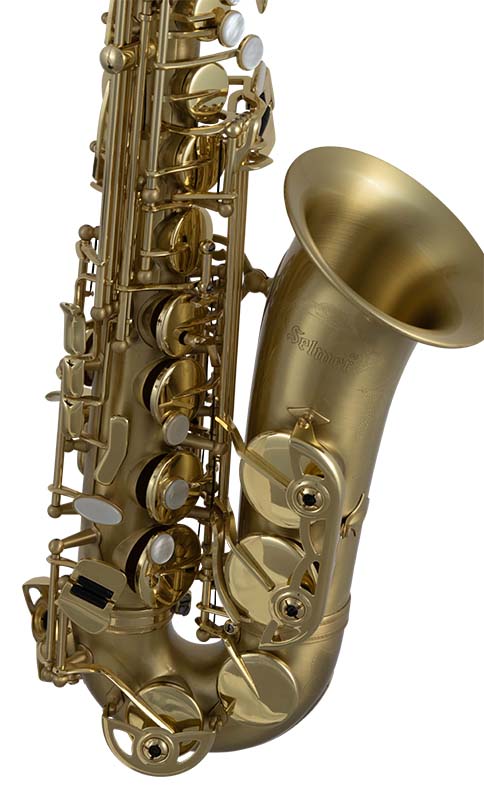 Selmer SAS711M Sas711 Alto Saxophone Matte