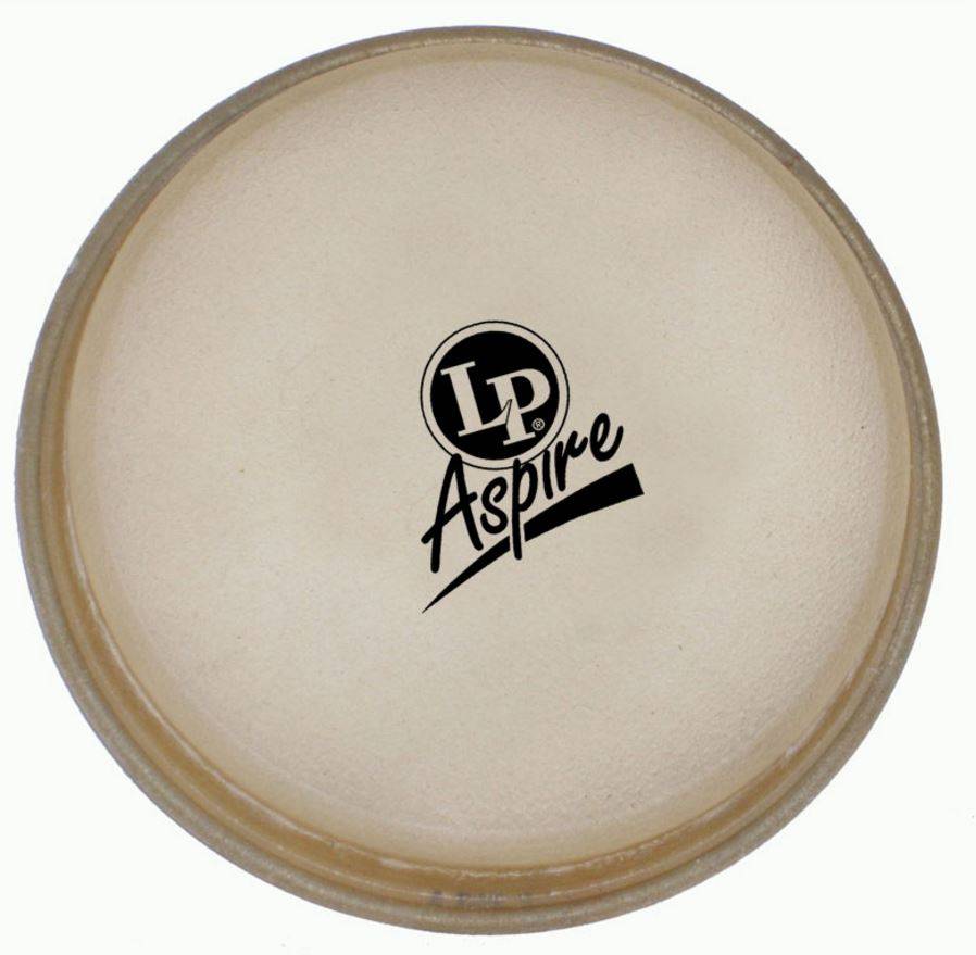 LP Aspire Quinto Replacement Head 10'' Rawhide