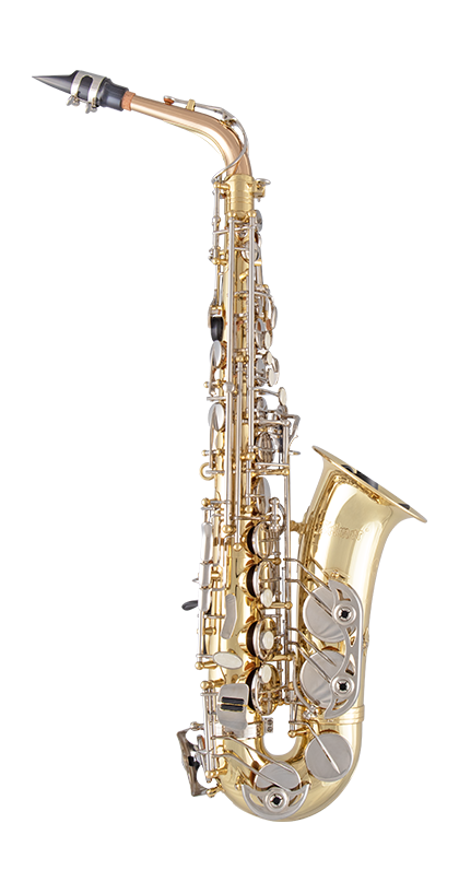 Selmer SAS301 300 Series Alto Saxophone Outfit