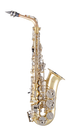 Selmer SAS301 300 Series Alto Saxophone Outfit