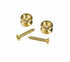 Planet Waves Solid Brass End Pins - Brass (Pair)