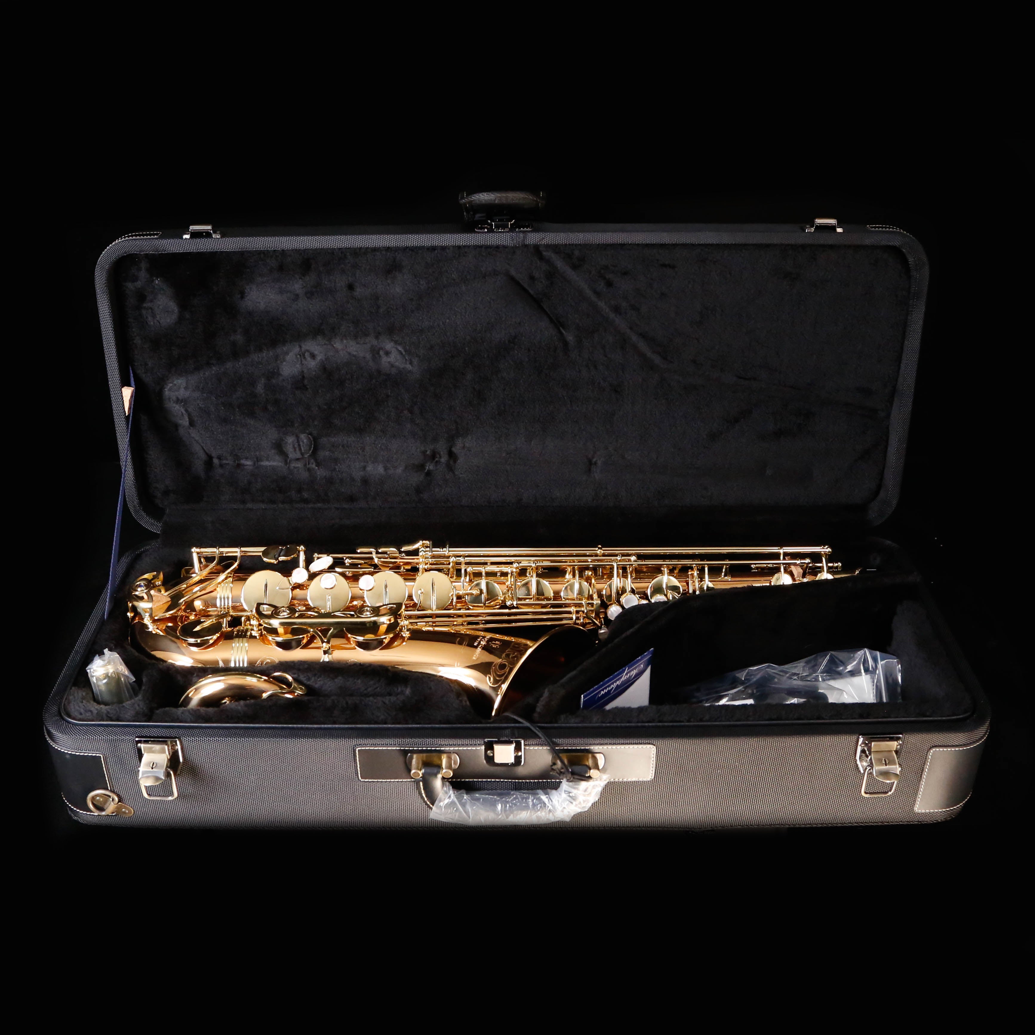 Yanagisawa TWO20 Elite Bb Tenor Saxophone, Bronze